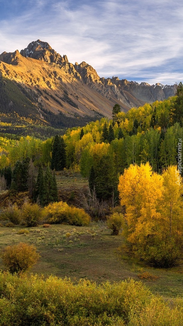 Jesienne drzewa na tle góry Mount Sneffels