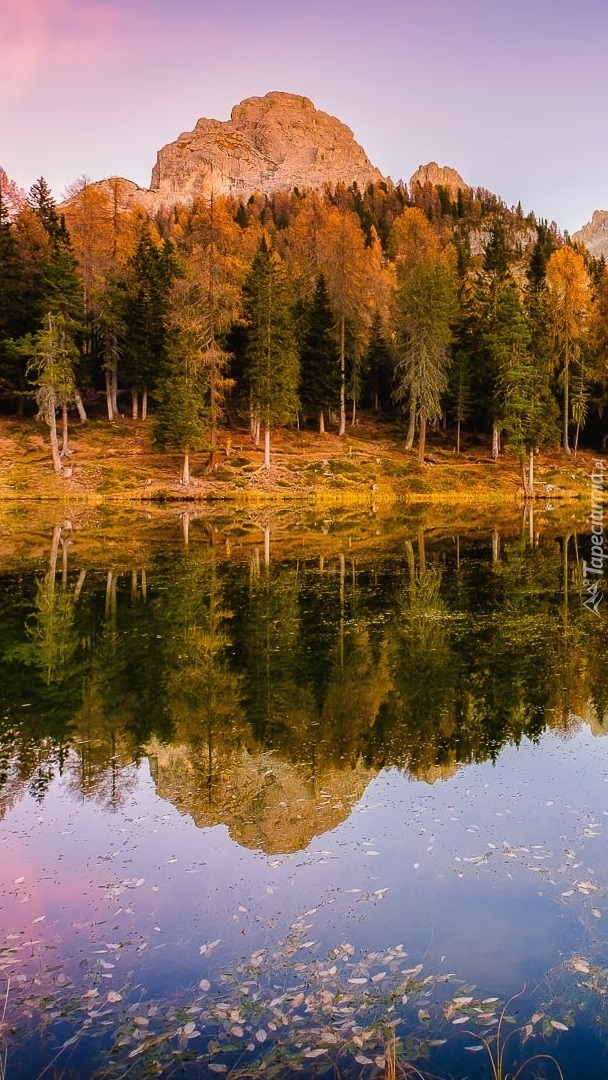 Jesienne drzewa nad jeziorem Antorno Lake