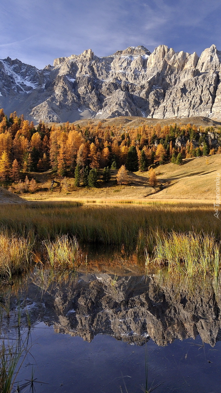 Jesienne drzewa nad jeziorem Lac Miroir