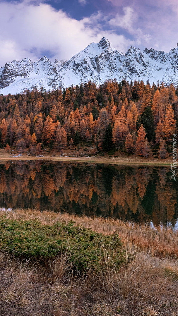 Jesienne drzewa nad jeziorem Lac Miroir