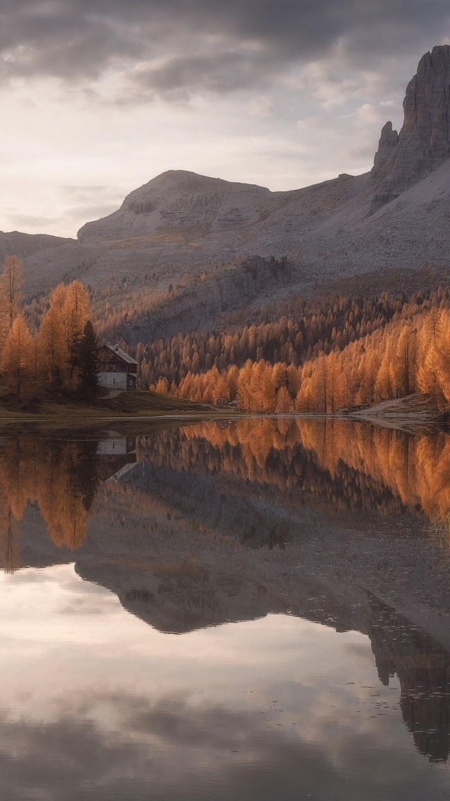 Jesienne drzewa nad jeziorem Lago Federa