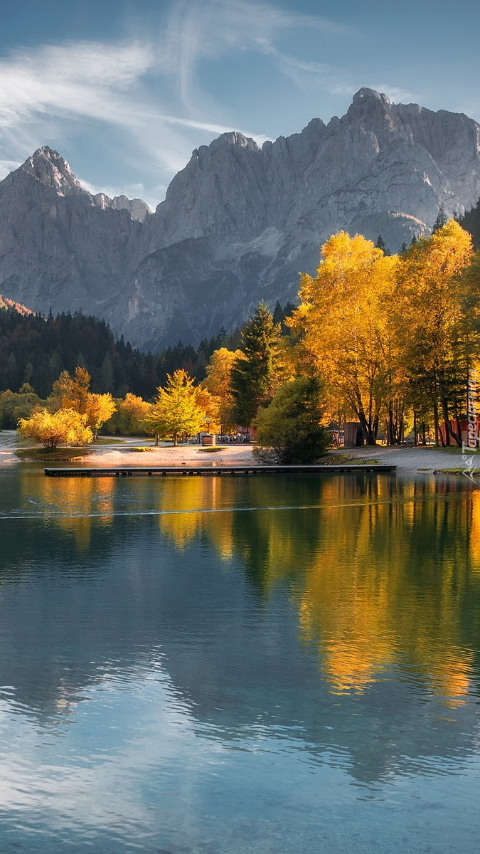 Jesienne drzewa nad jeziorem Lake Jasna