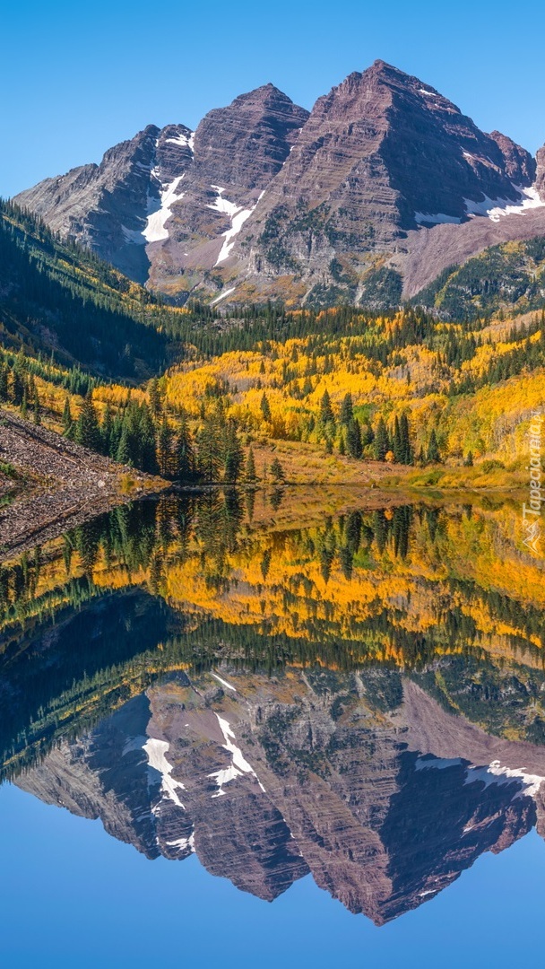 Jesienne drzewa nad jeziorem Maroon Lake