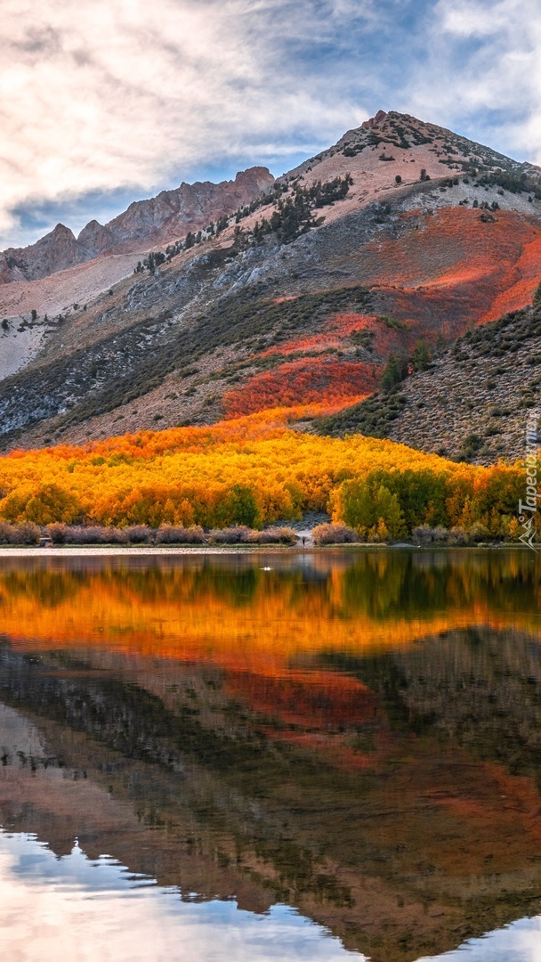 Jesienne drzewa nad jeziorem North Lake