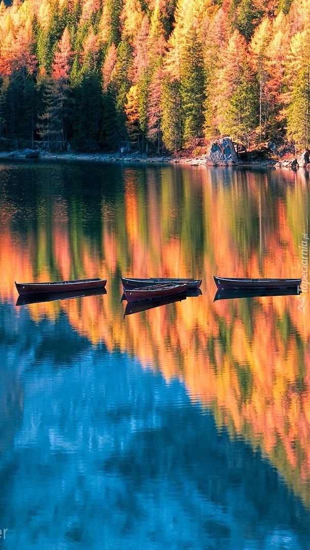 Jesienne drzewa nad jeziorem Pragser Wildsee