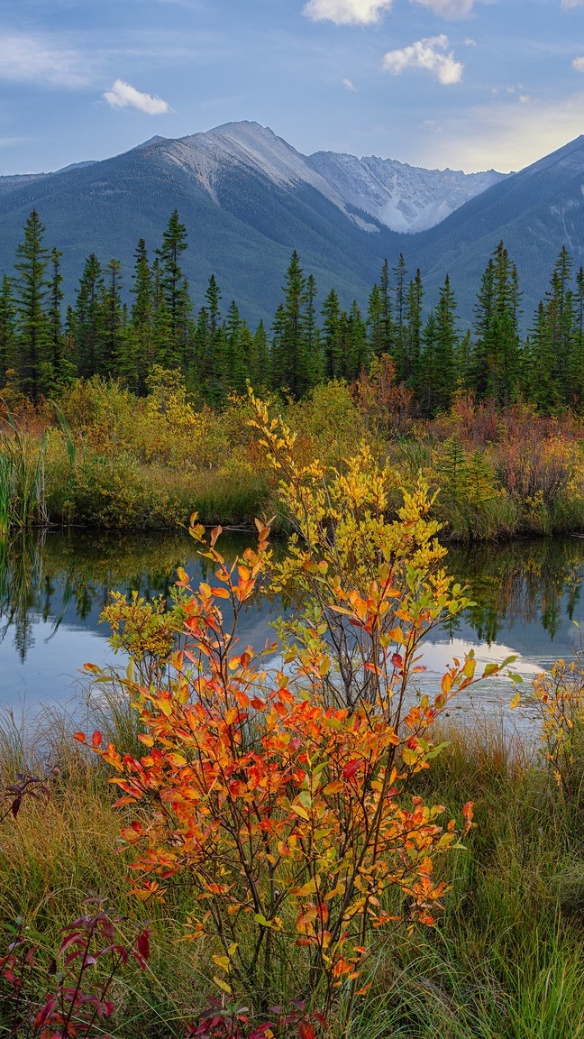 Jesienne drzewa nad jeziorem Vermilion Lake i góry w oddali