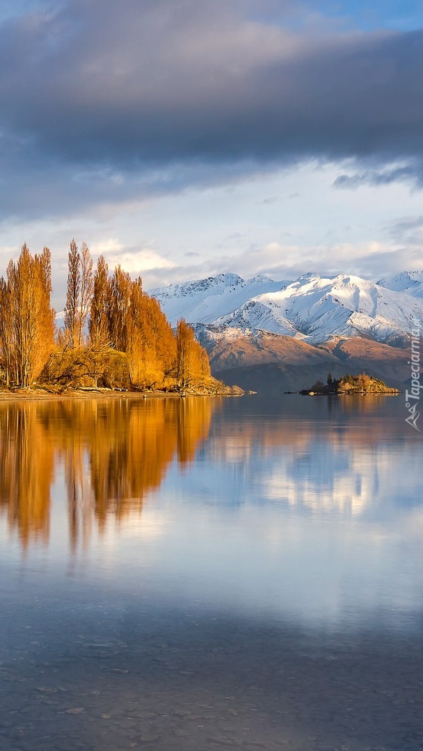 Jesienne drzewa nad jeziorem Wanaka