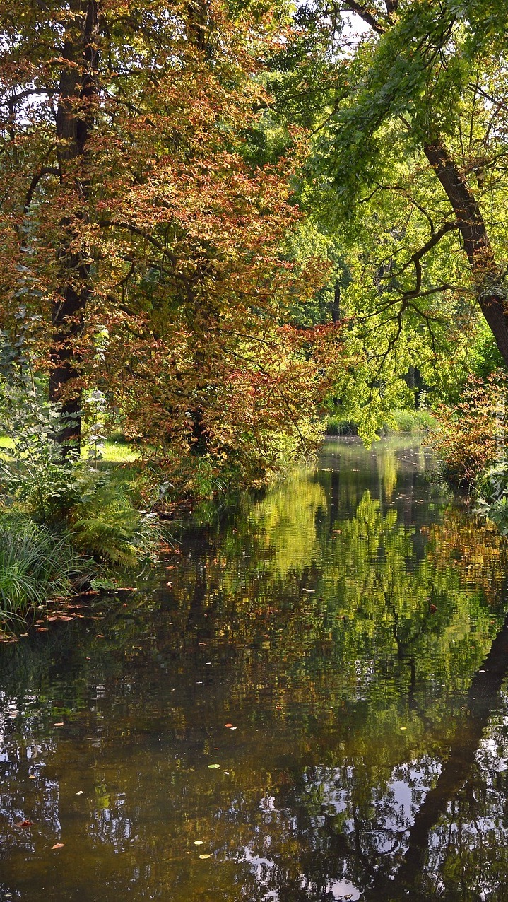 Jesienne drzewa nad rzeczką