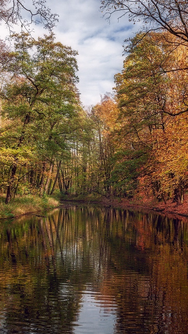 Jesienne drzewa nad rzeką