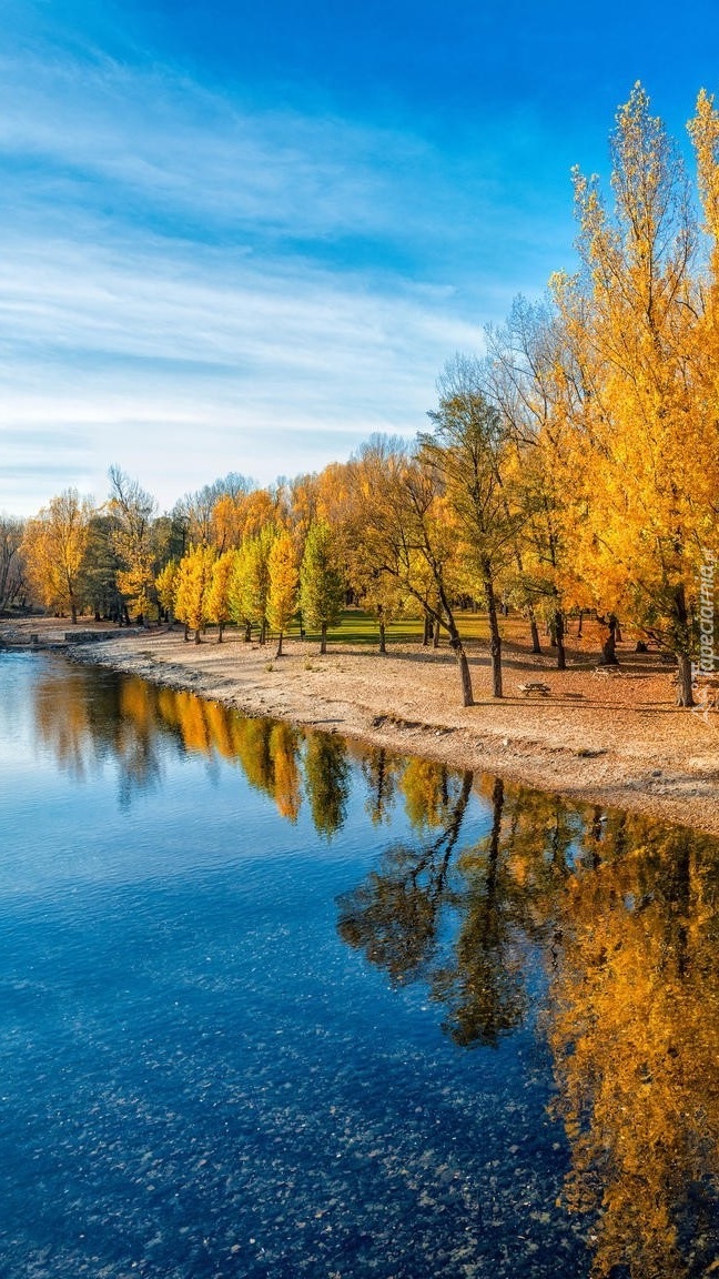 Jesienne drzewa nad rzeką