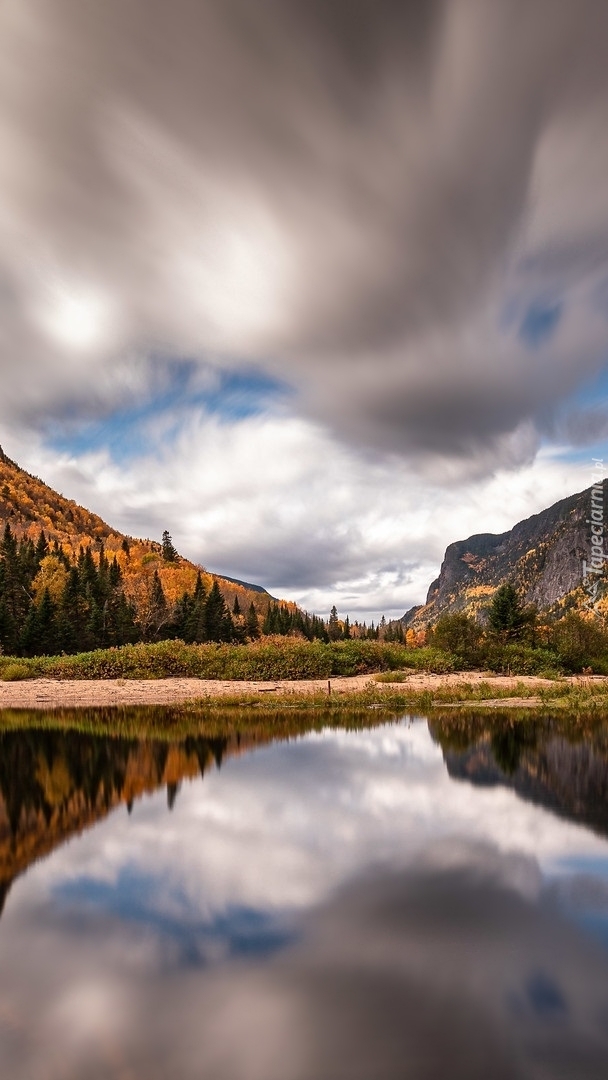 Jesienne drzewa nad rzeką Malbaie