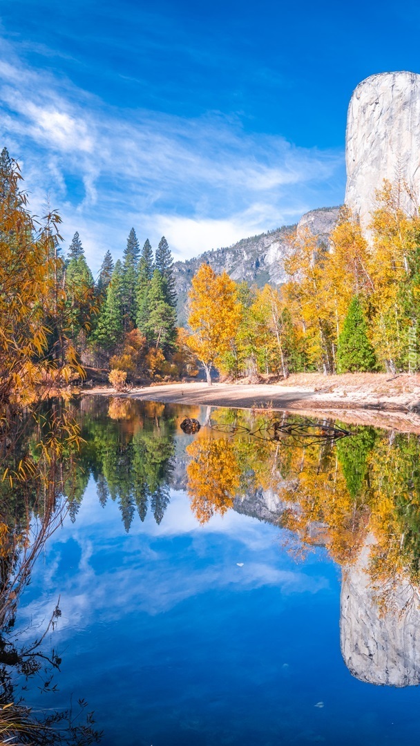 Jesienne drzewa nad rzeką Merced River