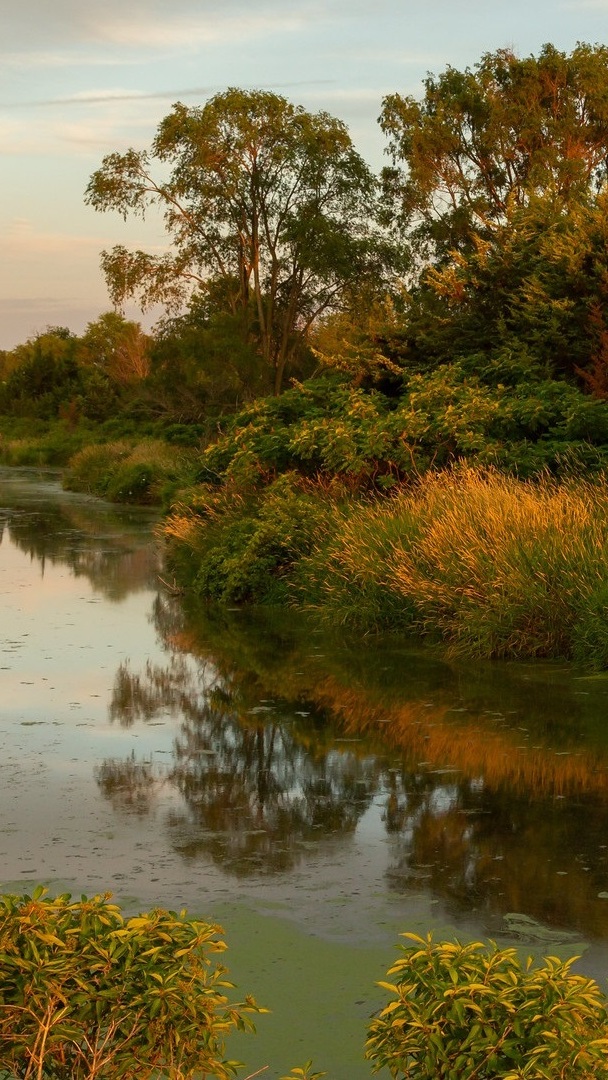 Jesienne krzewy i drzewa na brzegu jeziora Prairie Rose Lake