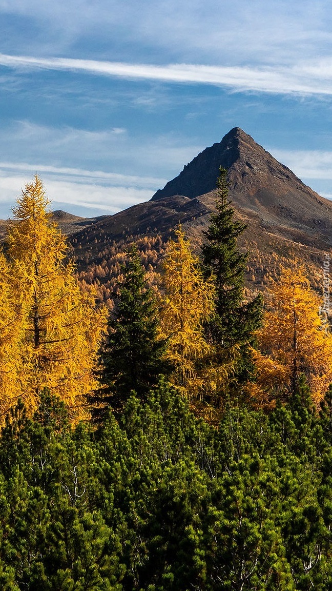 Jesienny górski krajobraz