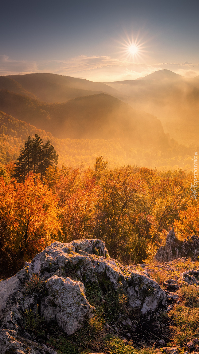Jesienny górski krajobraz w promieniach słońca