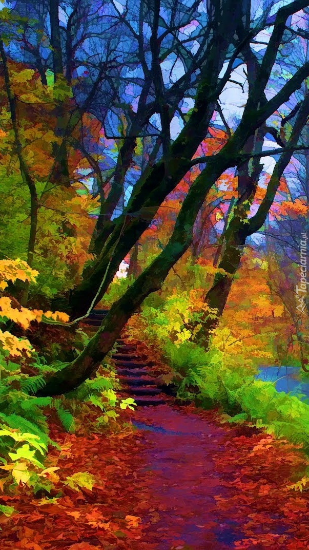 Jesienny kolorowy park