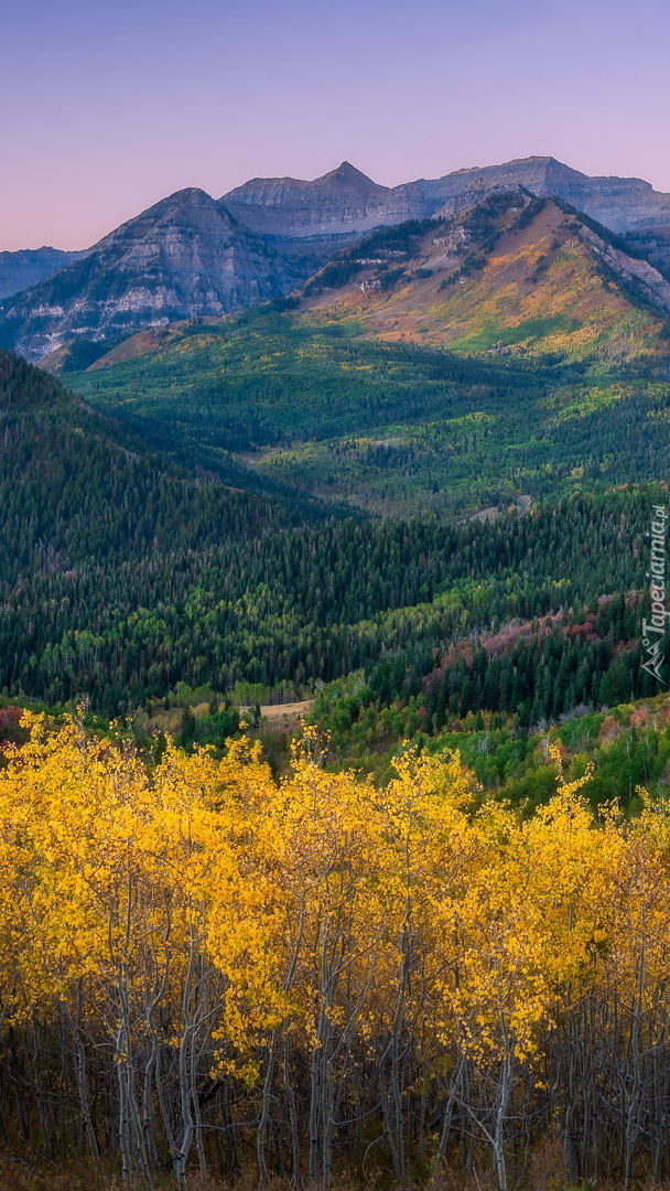 Jesienny krajobraz gór Wasatch Range