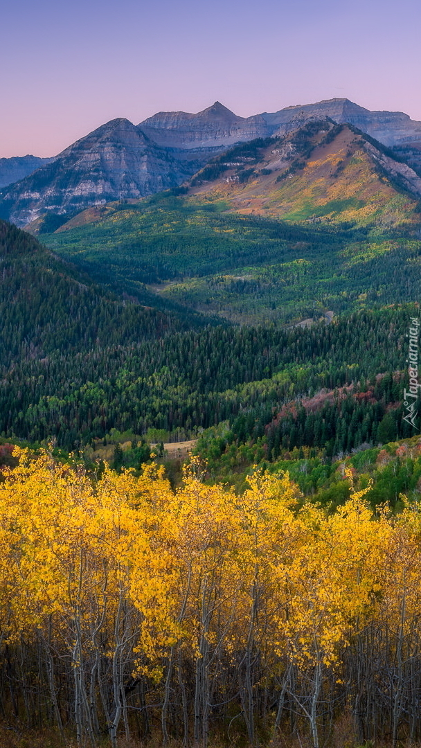 Jesienny krajobraz gór Wasatch Range
