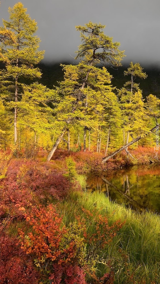 Jesienny krajobraz na Kołymie