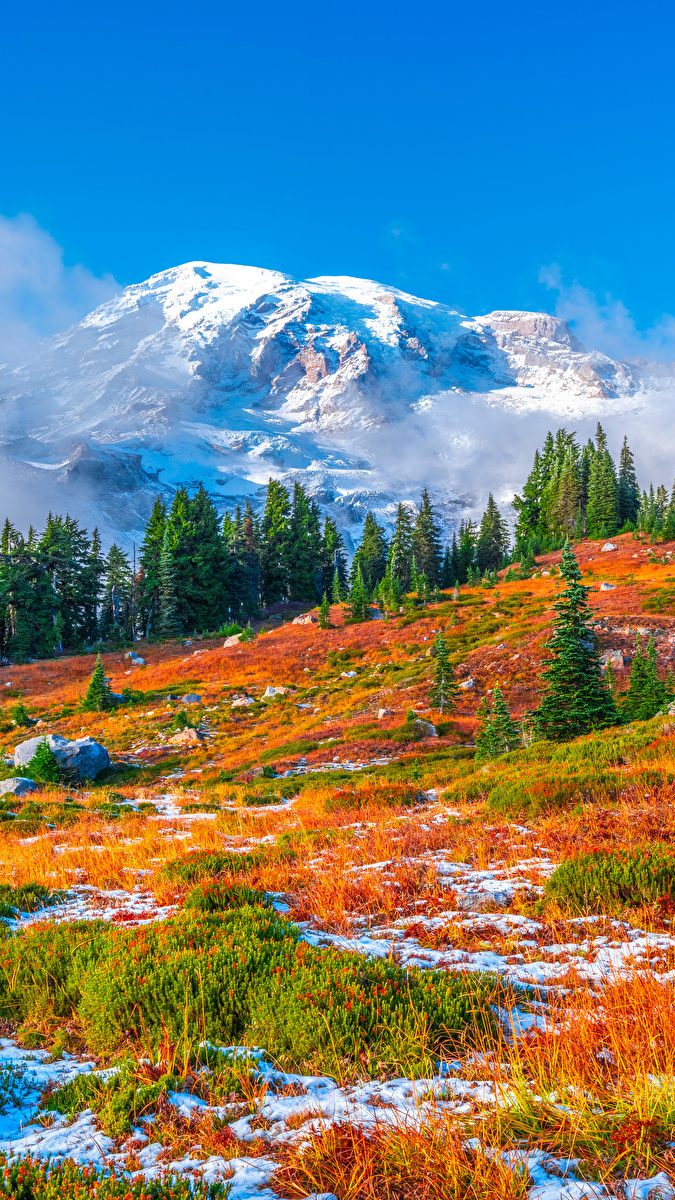 Jesienny krajobraz Parku Narodowego Mount Rainier