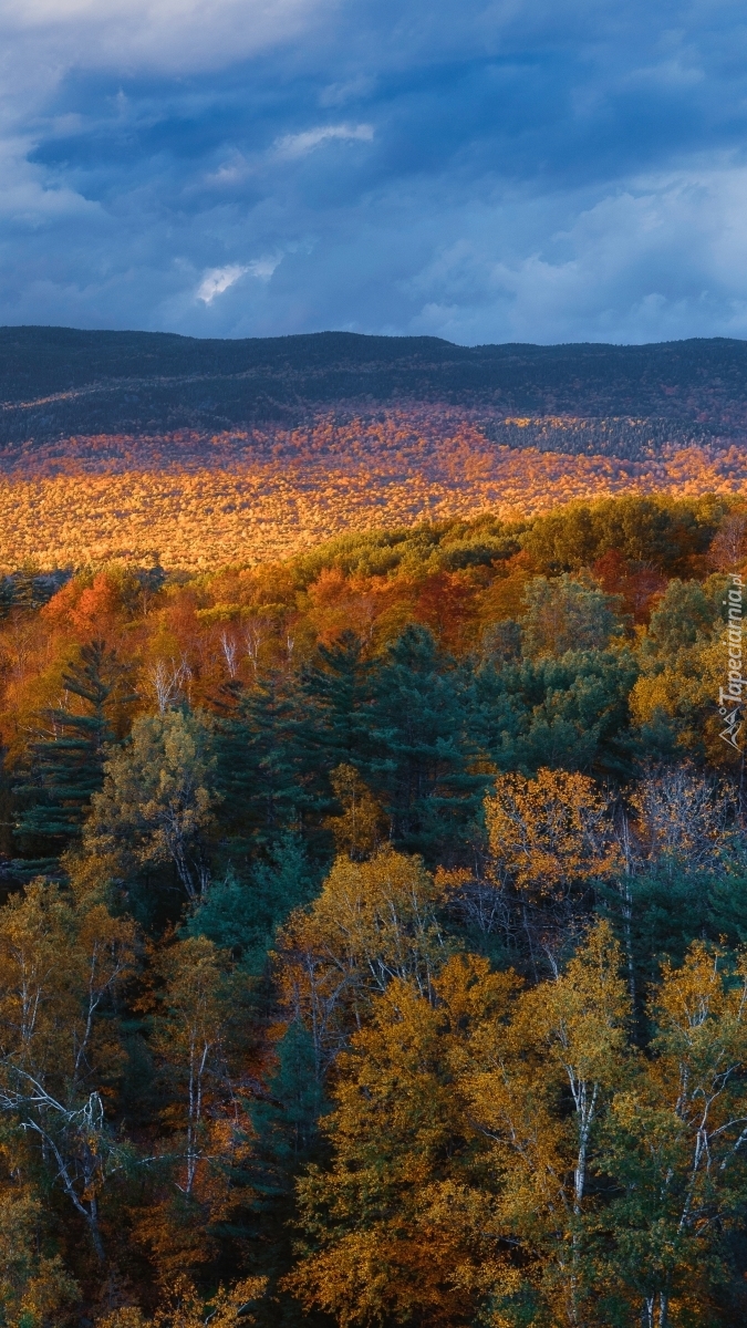 Jesienny krajobraz w górach