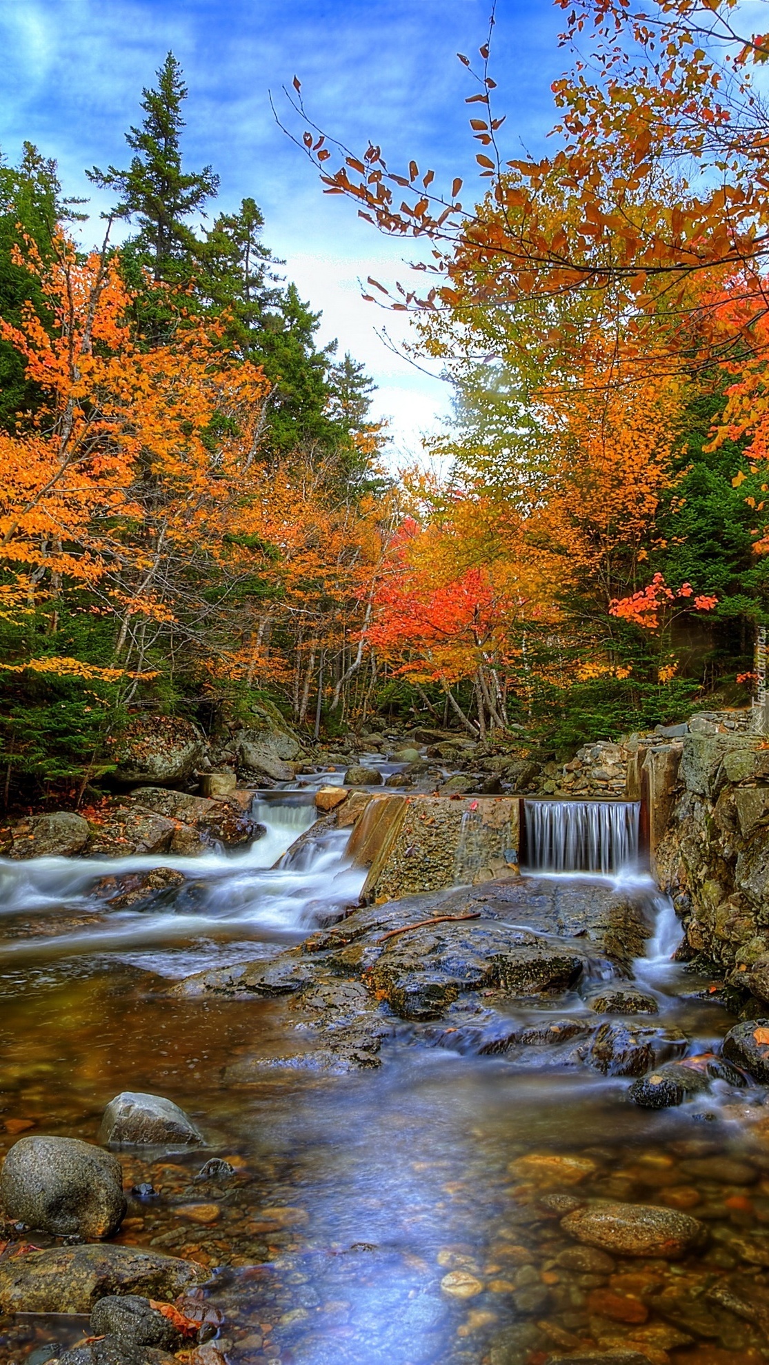 Jesienny las z kamienistą rzeką