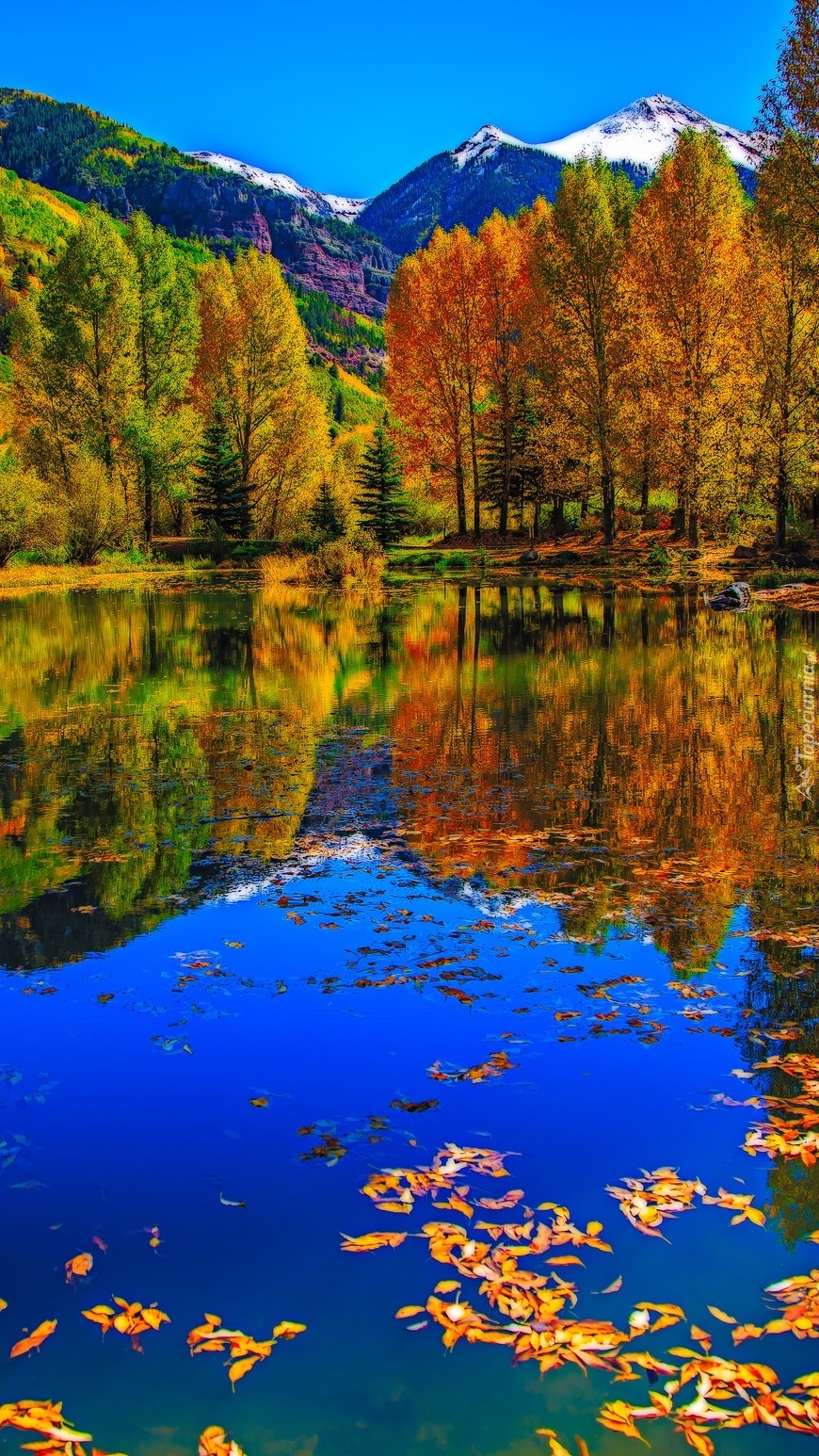 Jesienny pejzaż nad jeziorem