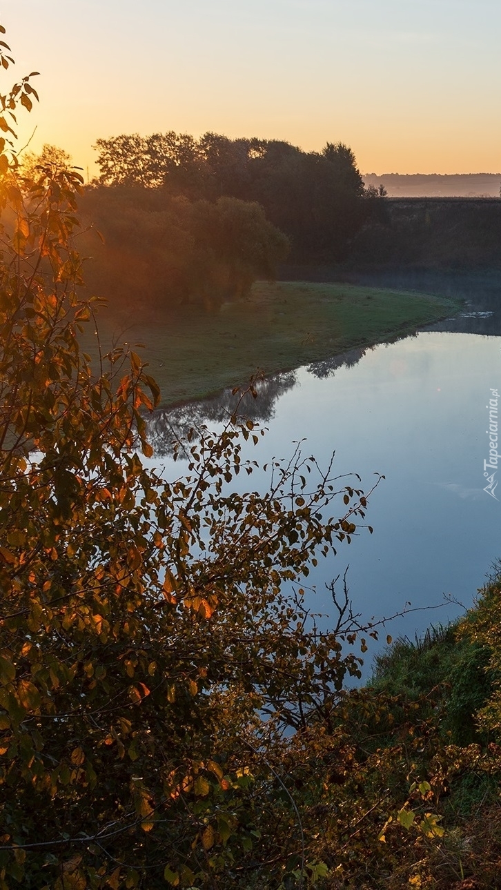 Jesienny poranek nad rzeką