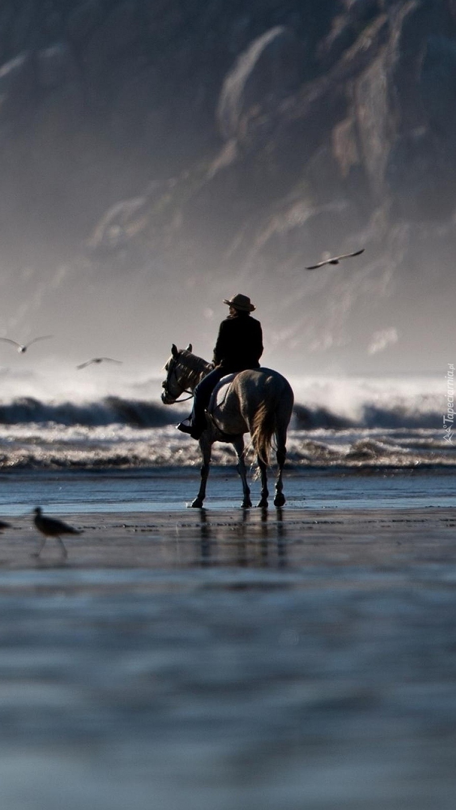 Jeździec na koniu i morze.