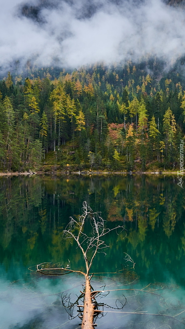 Jezioro Blindsee