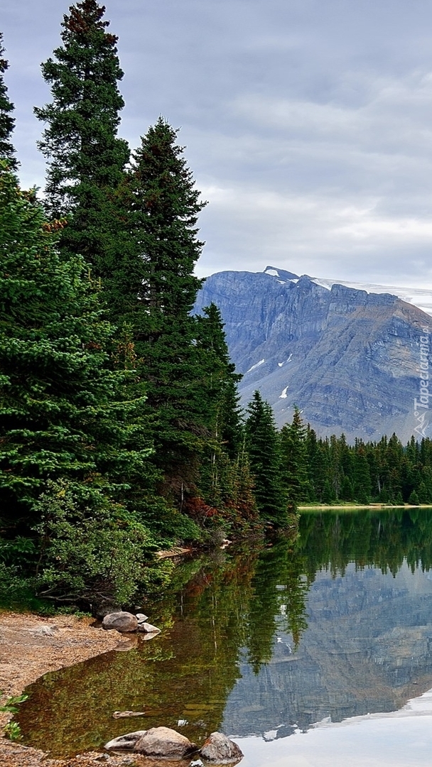 Jezioro Bow Lake