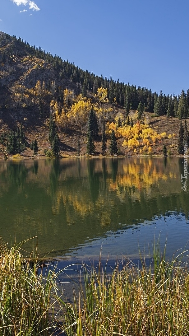 Jezioro Dollar Lake w Kolorado
