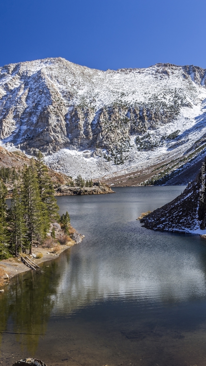 Jezioro Ellery w Parku Narodowym Yosemite