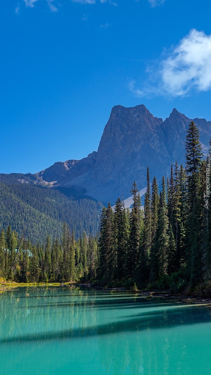 Jezioro Emerald Lake i Góry Skaliste