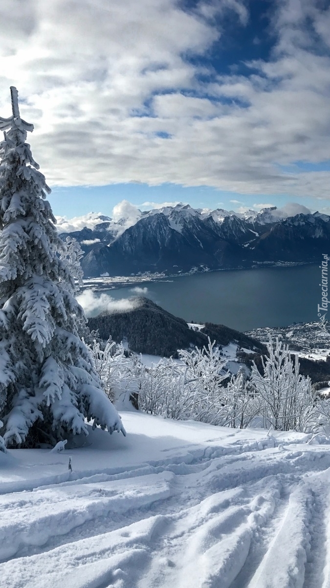 Jezioro Genewskie w szwajcarskich Alpach