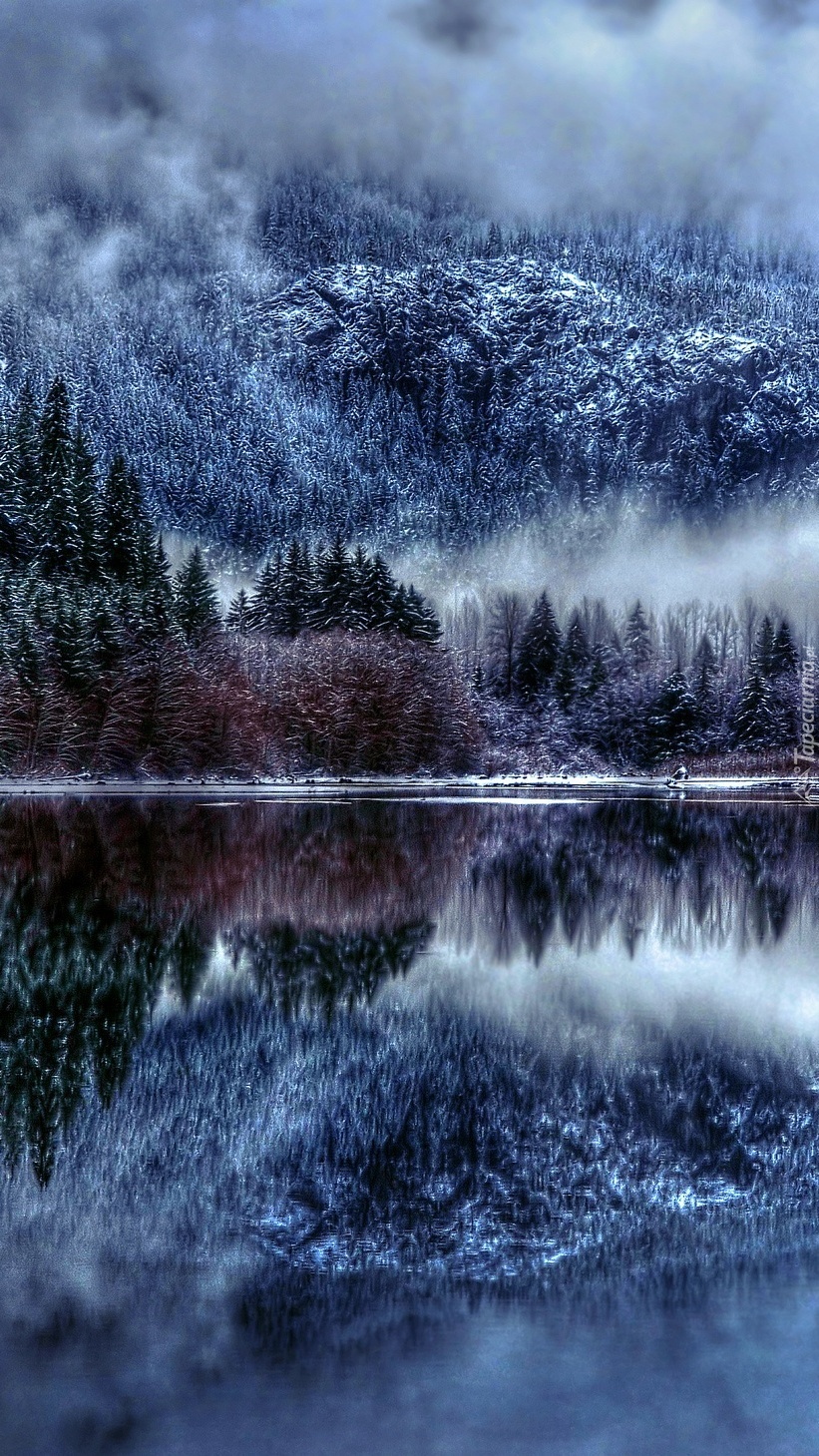 Jezioro góry i las zimowa mgła otuliła