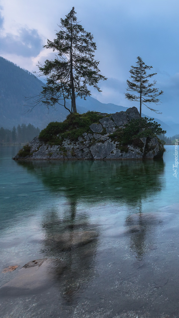 Jezioro Hintersee z drzewami na skale