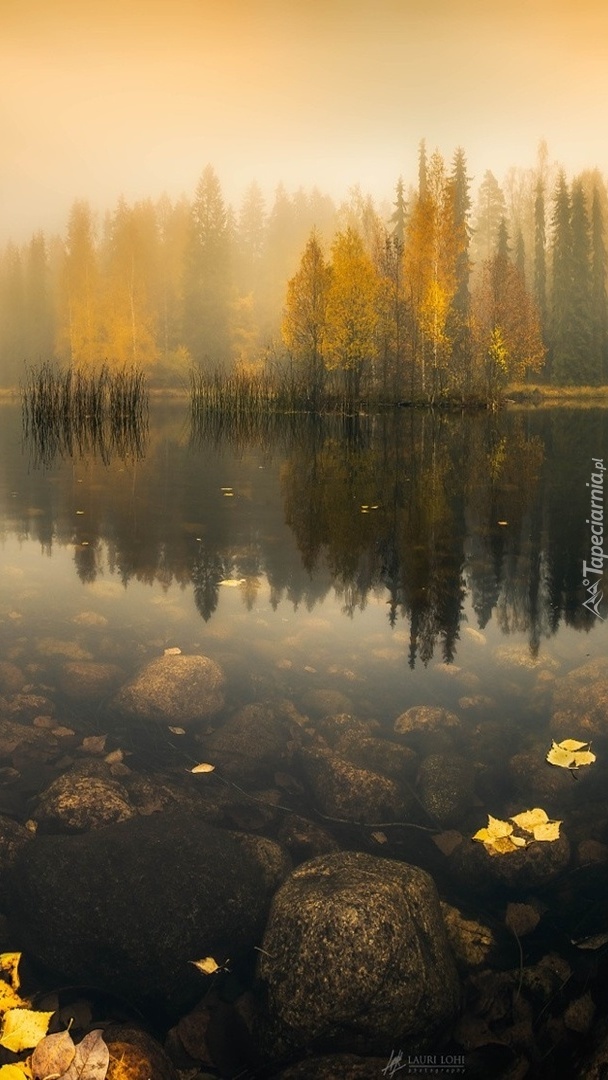 Jezioro i las w szponach jesieni