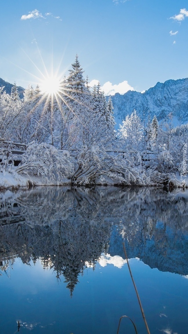 Jezioro i ośnieżone drzewa w zimowym słońcu