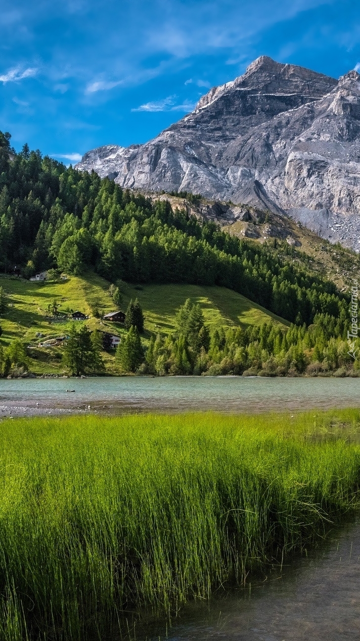 Jezioro Lac de Derborence