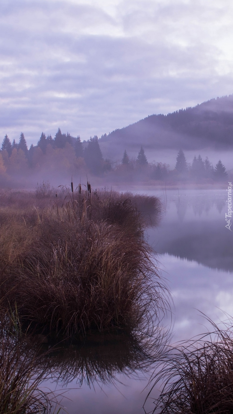 Jezioro Lac de Lamoura we mgle