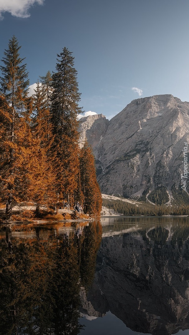 Jezioro Lago di Braies i drzewa w Dolomitach