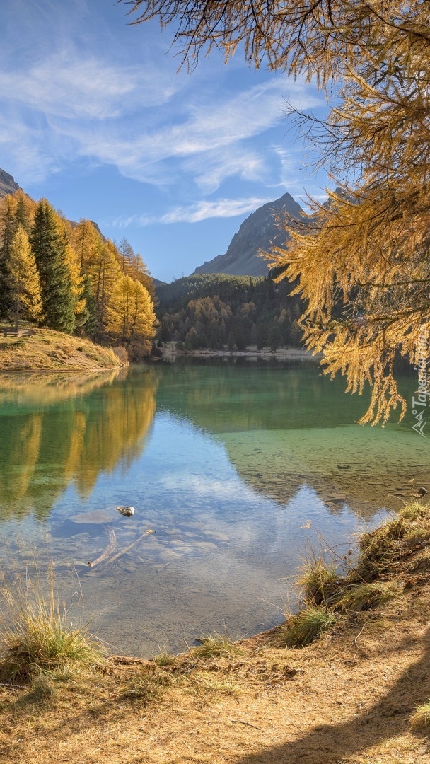 Jezioro Lai da Palpuogna w jesiennych Alpach