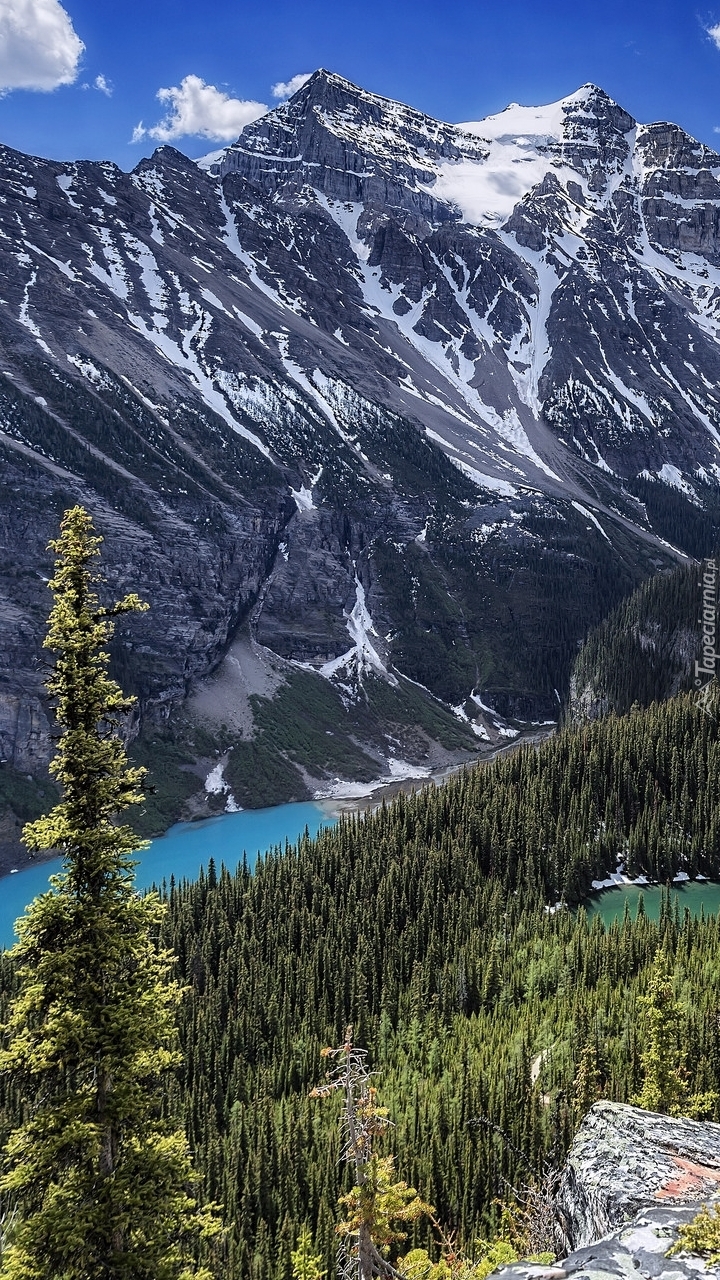 Jezioro Lake Louise w górach