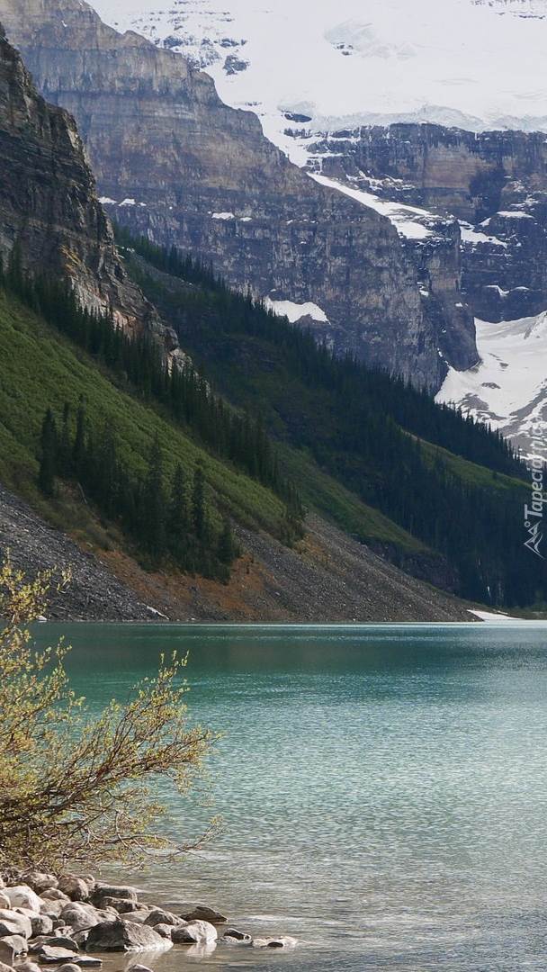 Jezioro Lake Louise w Kanadzie