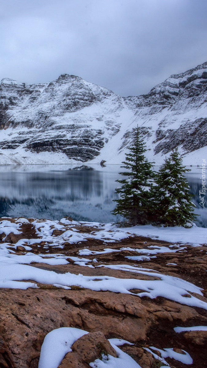 Jezioro Lake McArthur i ośnieżone góry Canadian Rockies