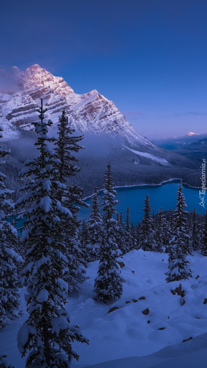 Jezioro Lake Peyto i Góry Skaliste zimową porą