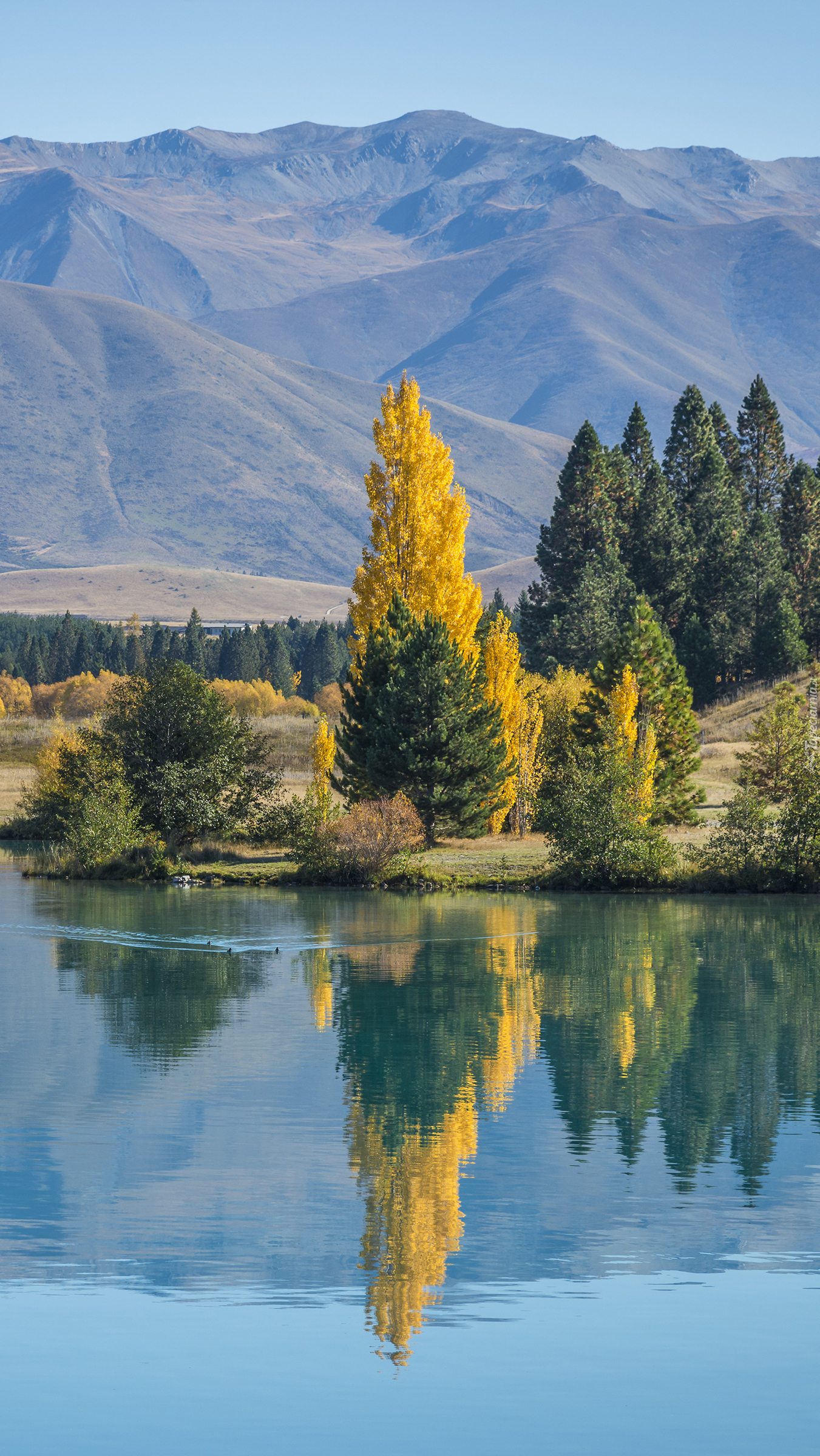 Jezioro Lake Ruataniwha na tle gór