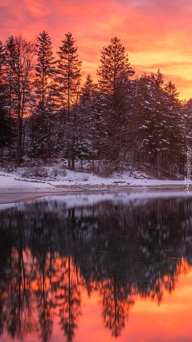 Jezioro Lake Zavrsnica w Słowenii