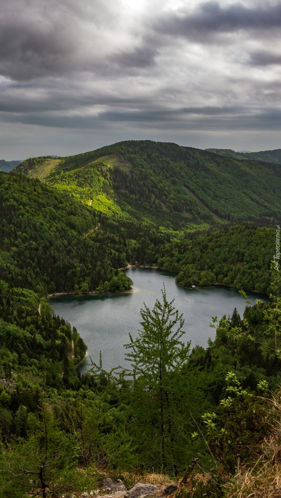 Jezioro Langbathseen